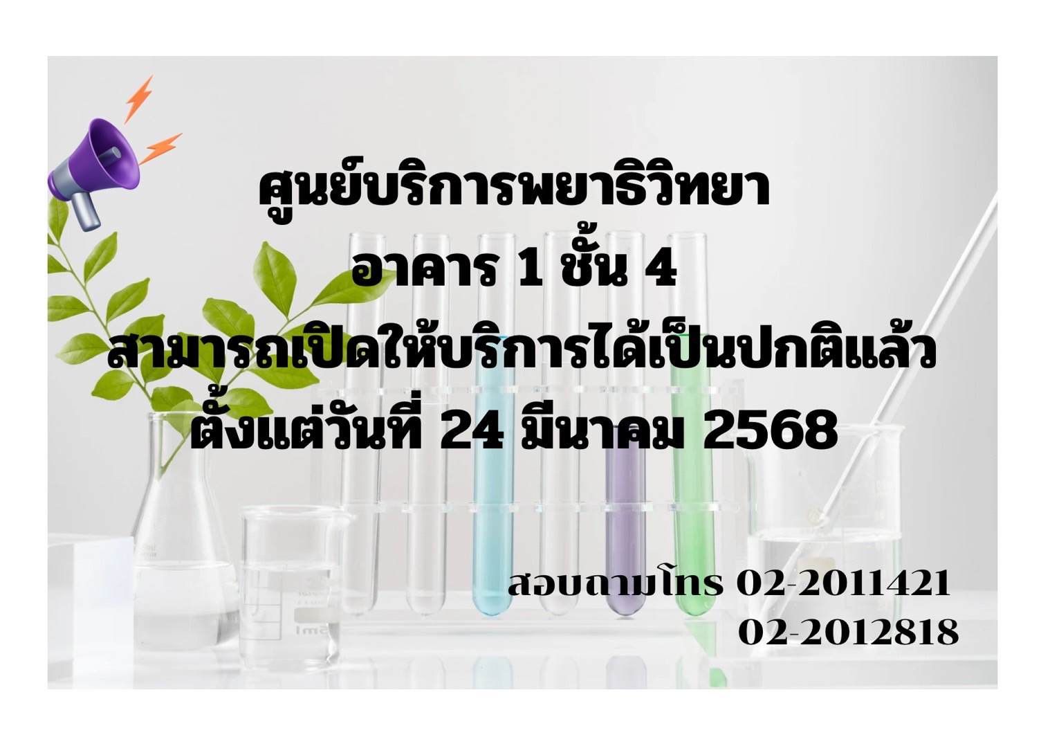 hight"400"
